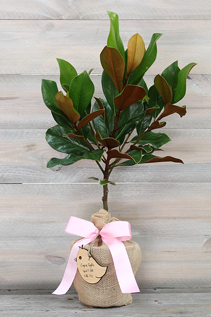 keepsake gifts for baby girl