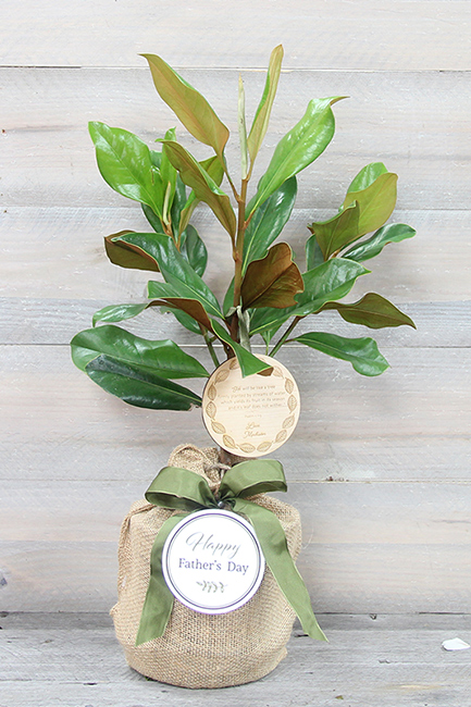 father's day plants
