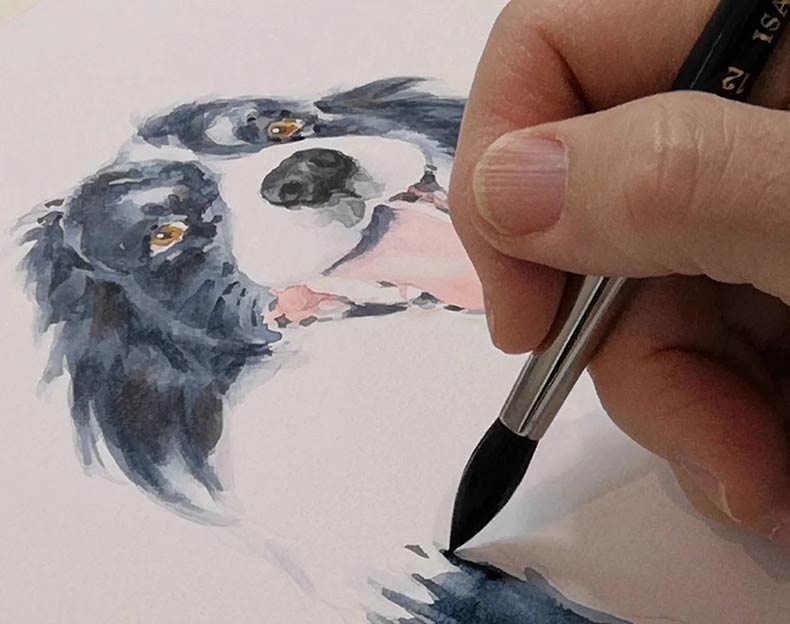 Hand Sketching Dog Portrait