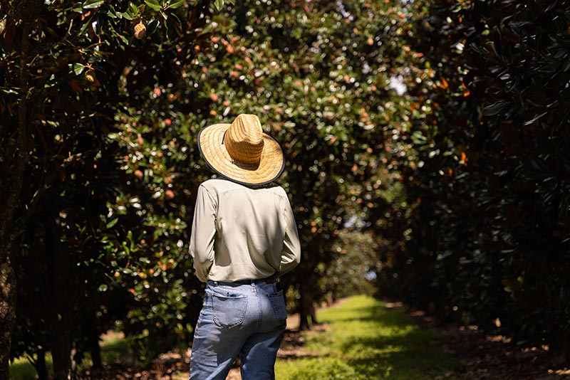 Julie Standing Amongst Magnolias in Grove