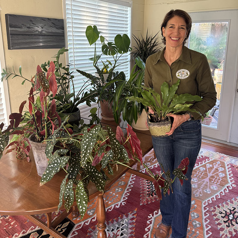 Julie Holding Indoor Plant