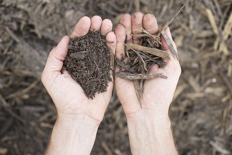 Hands Holding Organic Soil