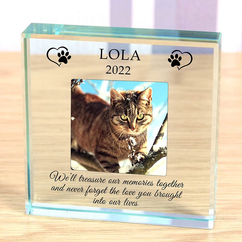 The 12 Most Heartwarming Pet Memorial Gifts of 2023 - PureWow