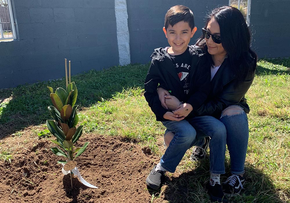Memorial Tree Planted in yard