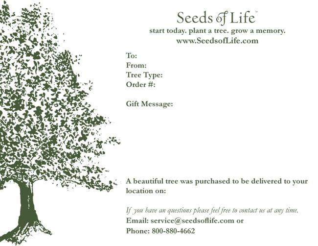ggive a tree in memory note ggive a tree in memory note