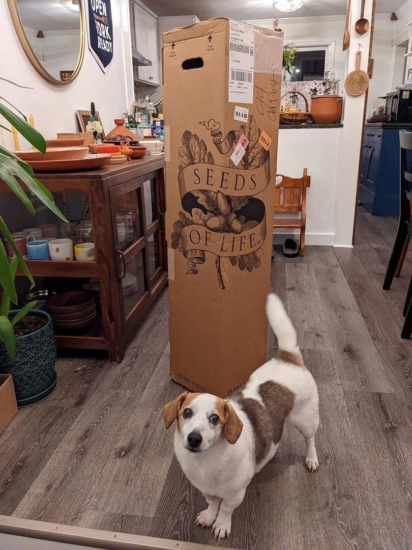 Dog Champ Standing Next to Seeds of Life Package
