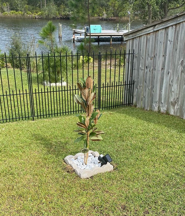 Southern Magnolia Tree Planted in Yard with Engraved Tag