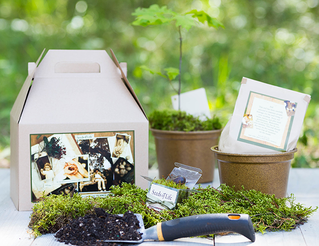 Memorial Gift Trees In Memory of Gifts Sympathy Trees