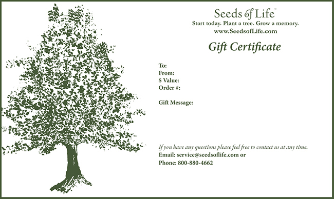 Anniversary Gifts Seeds Of Life Gift Tree Nursery Anniversary Gifts Seeds Of Life Gift