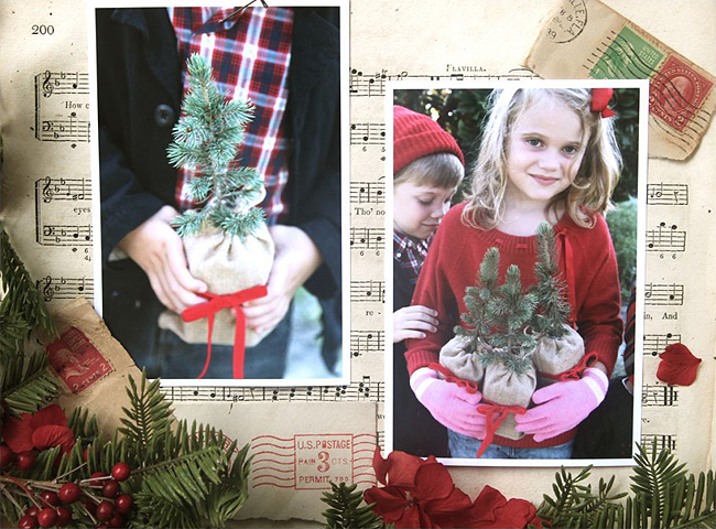 Seeds of Life: Holiday Gift Trees - Christmas Gift Trees