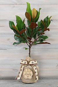 pet sympathy memorial gifts sympathy gifts for loss of pet