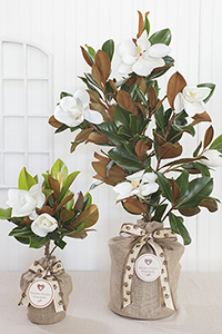 dog death sympathy gifts