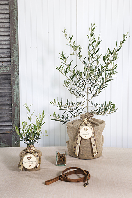 Pet Sympathy & Memorial Gifts | Sympathy Gifts for Loss of Pet