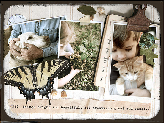 pet sympathy gift pet loss gifts pet memorial gifts