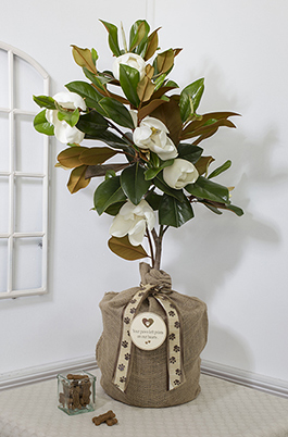 Pet Sympathy Magnolia Gift Tree