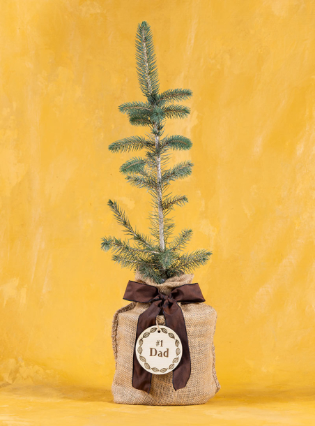 Father’s Faithful Spruce