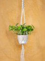 Housewarming Golden Pothos Plant with Macramé Hanger