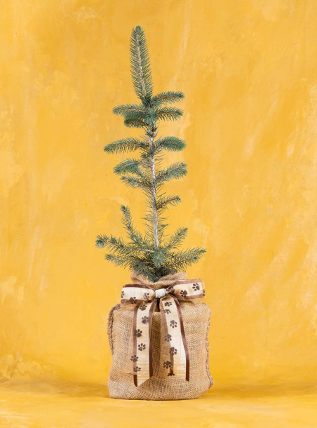 Furevergreen Pet Sympathy Spruce