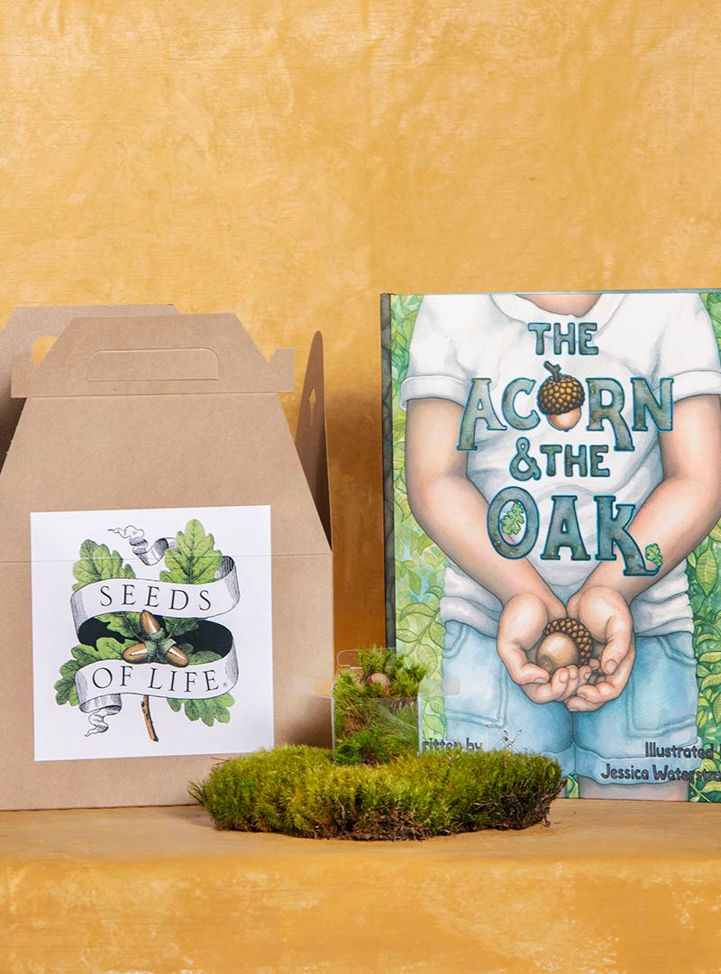 Growing Tree Kit Acorn Book Bundle