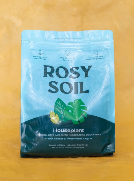 Indoor Plant Potting Soil