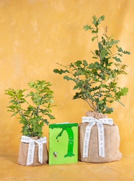 Enduring Baby Boy Oak Tree & The Giving Tree Book