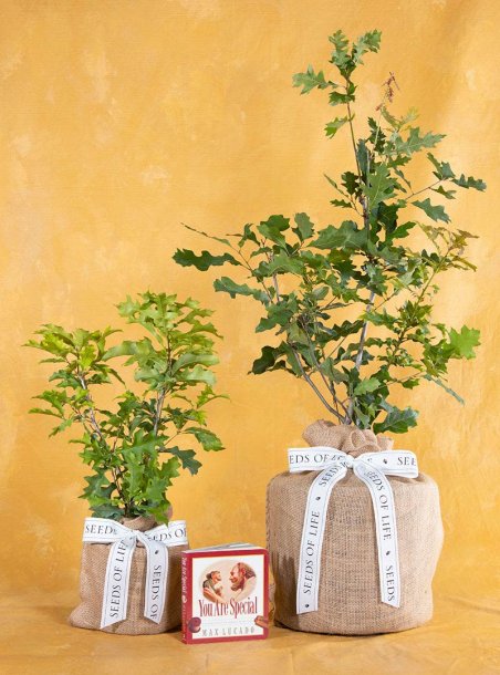 Enduring Baby Boy Oak Tree & You Are Special Book