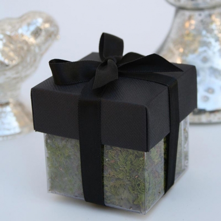 Black Lid / Black Top Double Bow