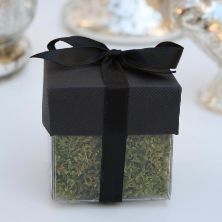 Black Lid / Black Top Single Bow