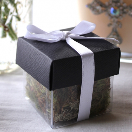 Black Lid / White Top Single Bow