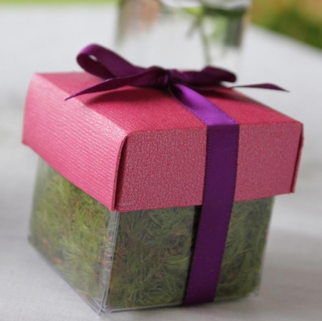 Bling Diva Pink Lid / Violet Top Single Bow