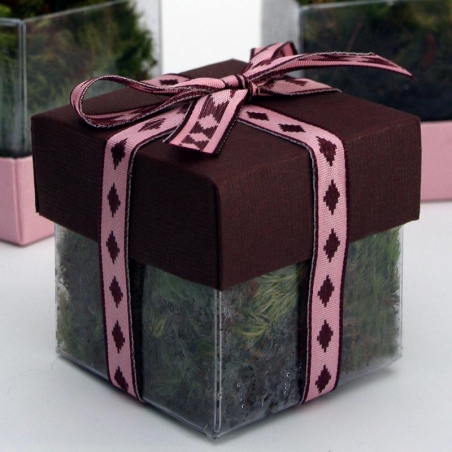 Brown Lid / Pink Diamond Top Double Bow