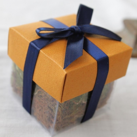 Buttercup Orange Lid / Navy Top Double Bow