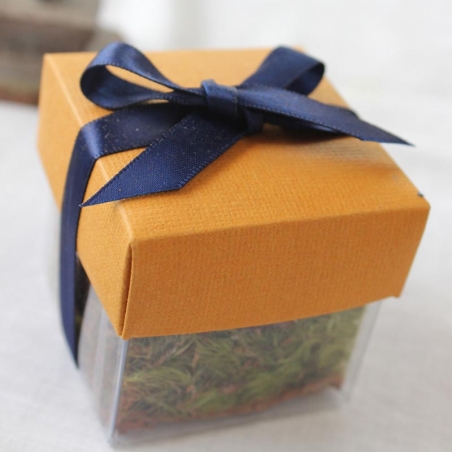 Buttercup Orange Lid / Navy Top Single Bow