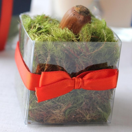 Single Front Bittersweet Bow - No Lid