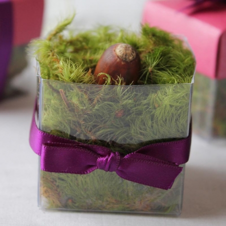 Single Front Violet Bow - No Lid