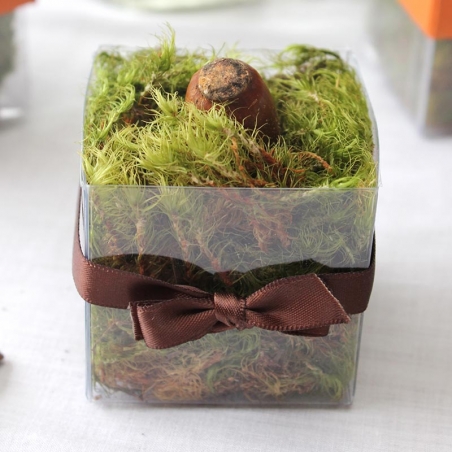 Single Front Brown Bow - No Lid