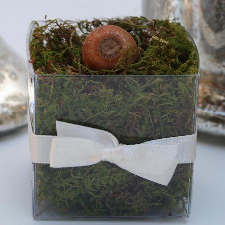 Single Front Ivory Bow - No Lid