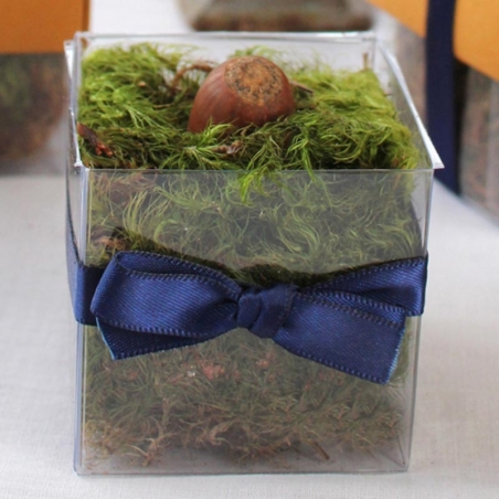 Single Front Navy Bow - No Lid