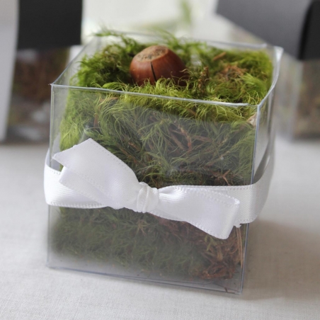 Single Front White Bow - No Lid