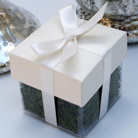 Cream Lid / Ivory Top Double Bow