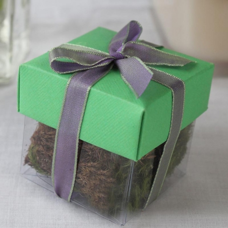 Grasshopper Green Lid / Lavender Top Double Bow