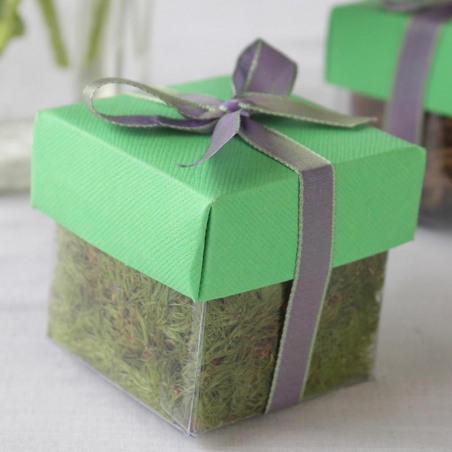 Grasshopper Green Lid / Lavender Top Single Bow