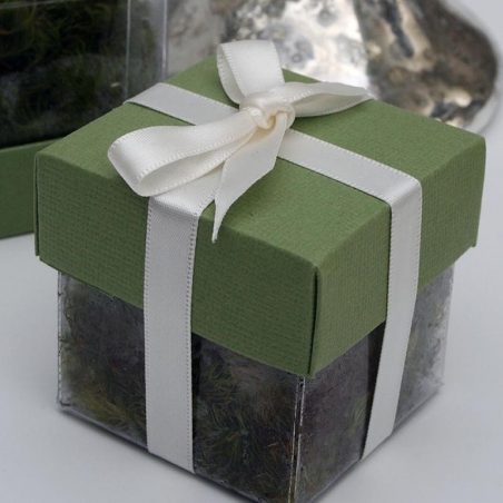 Pear Green Lid / Ivory Top Double Bow