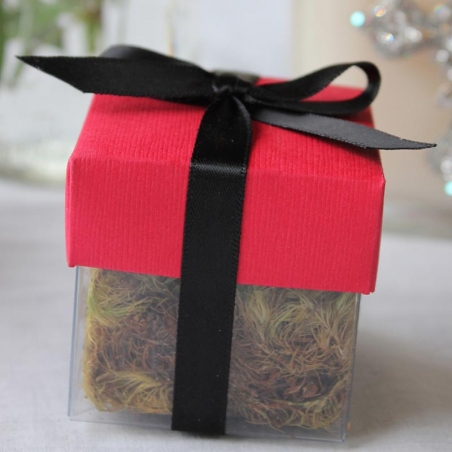 Grenadine Red Lid / Black Top Single Bow