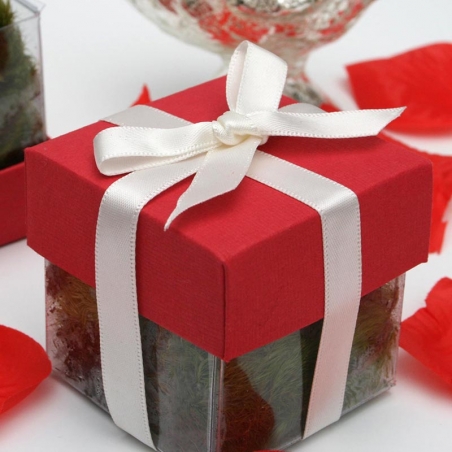 Grenadine Red Lid / Ivory Top Double Bow