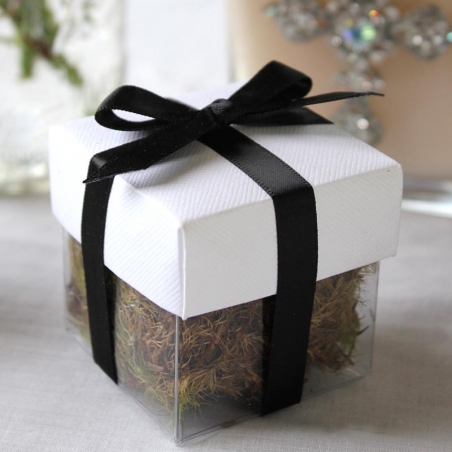 White Lid / Black Top Double Bow