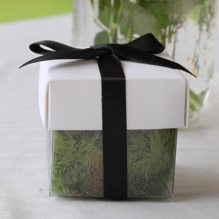 White Lid / Black Top Single Bow