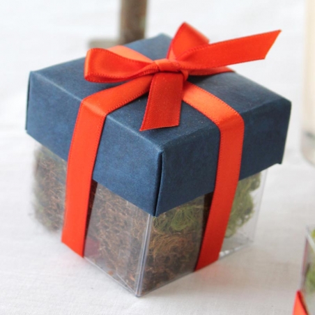 Midnight Blue Lid / Bittersweet Top Double Bow