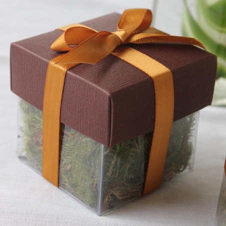 Brown Lid / Antique Gold Top Double Bow