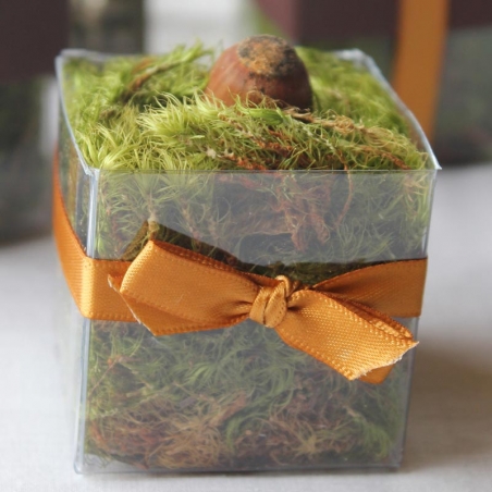 Single Front Antique Gold Bow - No Lid